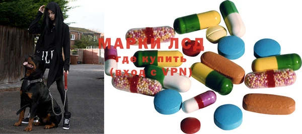 прущие грибы Нягань