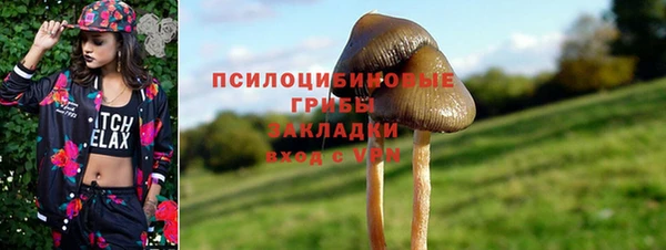 прущие грибы Нягань