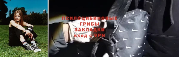 МДПВ Няндома