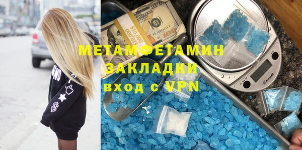 прущие грибы Нягань