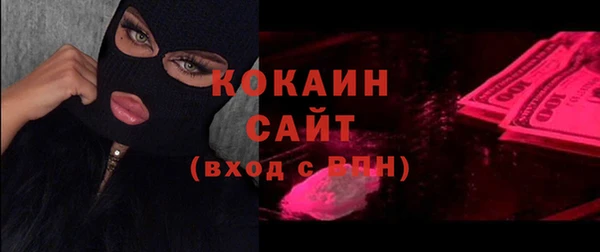 прущие грибы Нягань